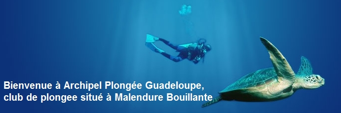 guadeloupe/archipel plongee guadeloupe.jpg