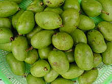 guadeloupe/mangue.jpg